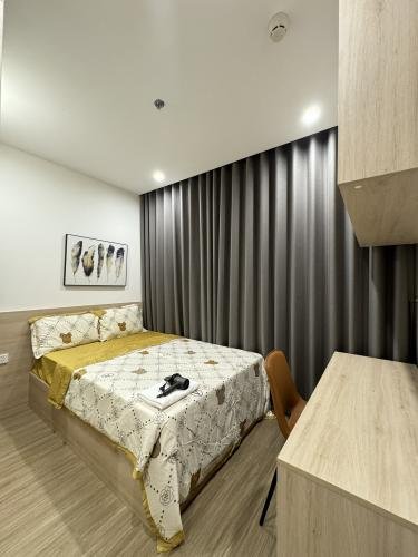 z5493597381336_985398cbddb8810363164d1ba8faf804